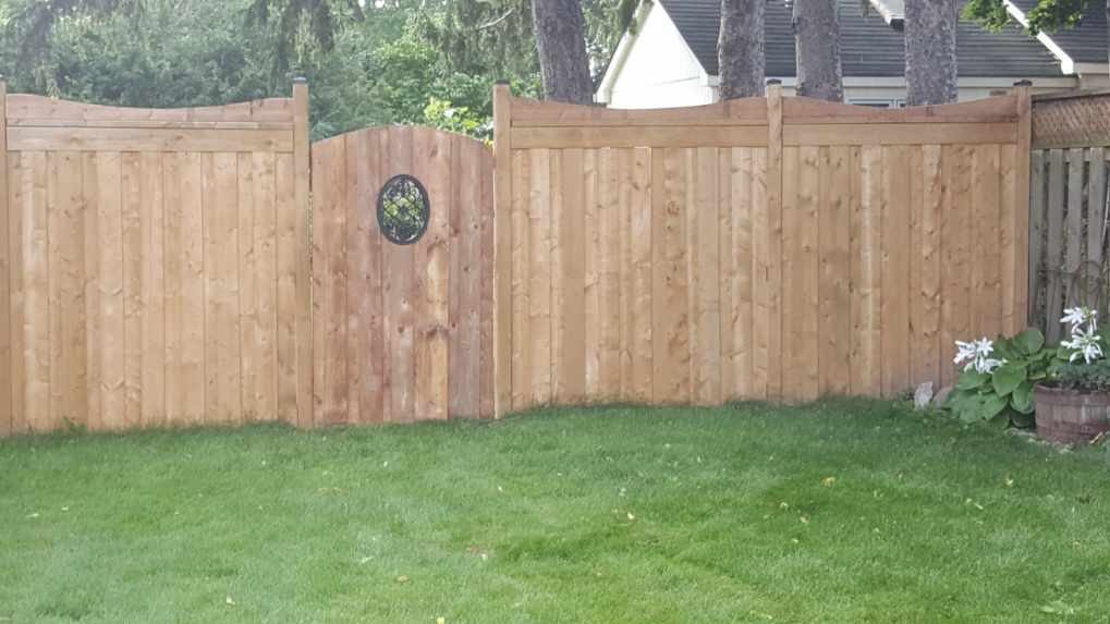 Privacy fence with arched gate