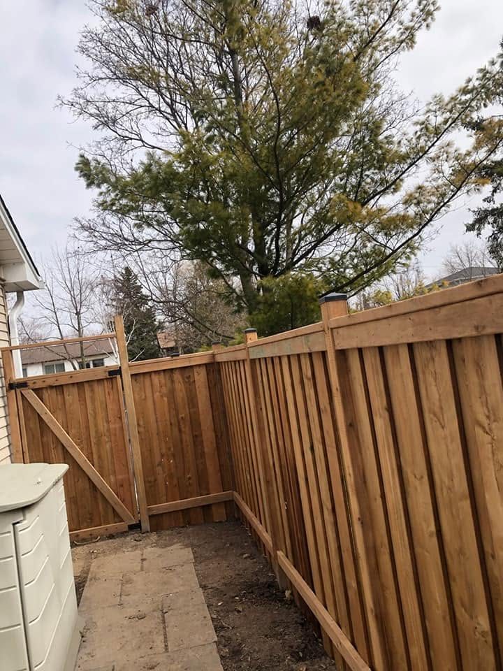 Cedar board privacy fence