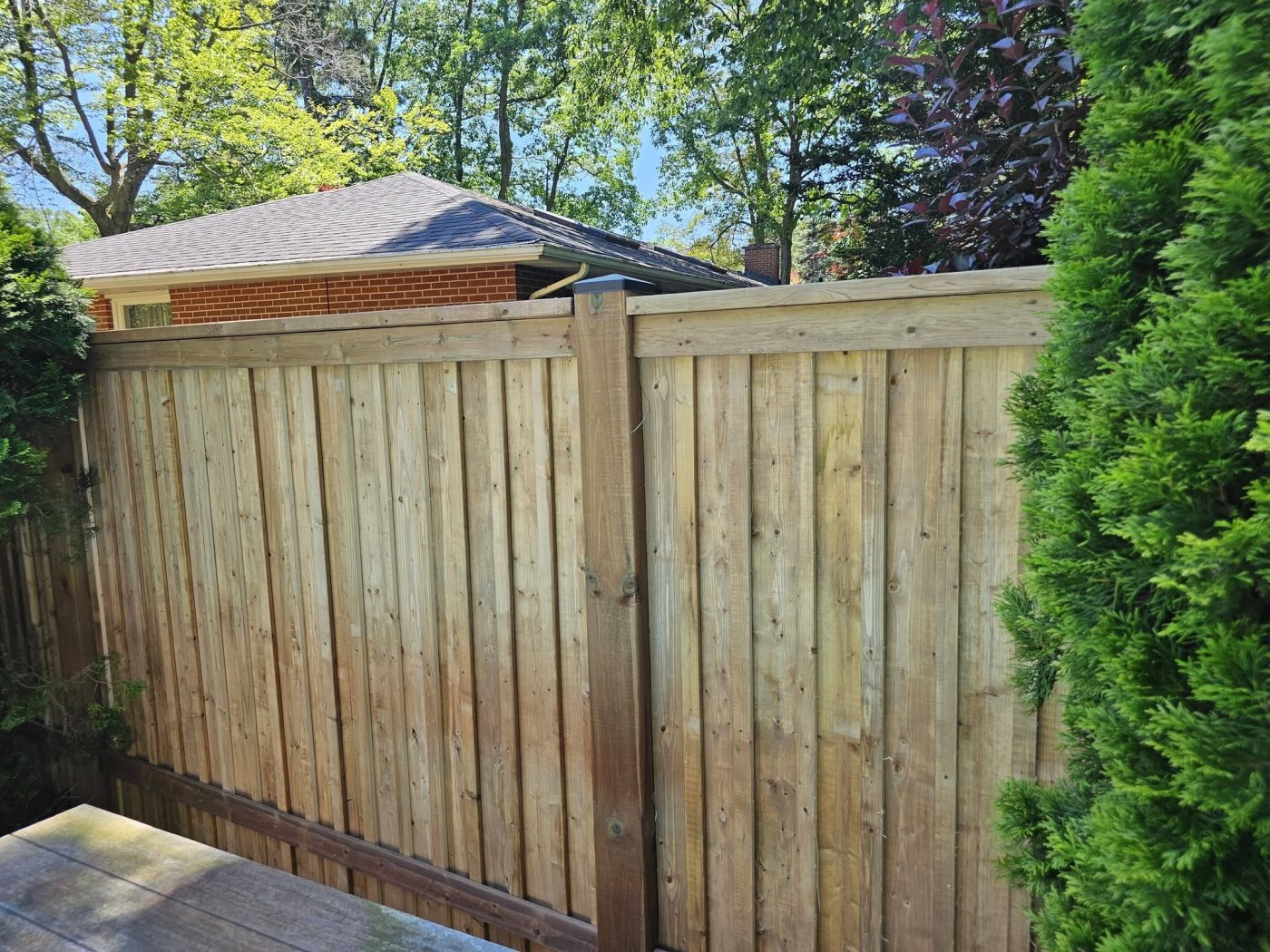 Tall cedar privacy fence